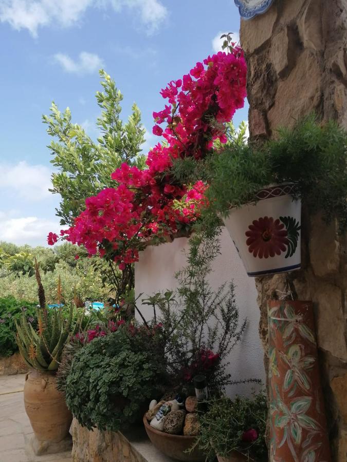 Alojamiento Rural Masia Valldeperez L'Ampolla Zewnętrze zdjęcie