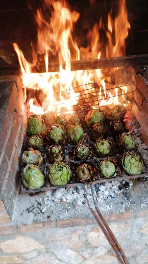 Alojamiento Rural Masia Valldeperez L'Ampolla Zewnętrze zdjęcie